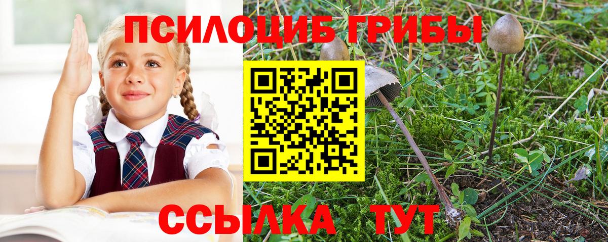 Дивногорск  Псилоцибиновые грибы Magic Shrooms  Вход с VPN 