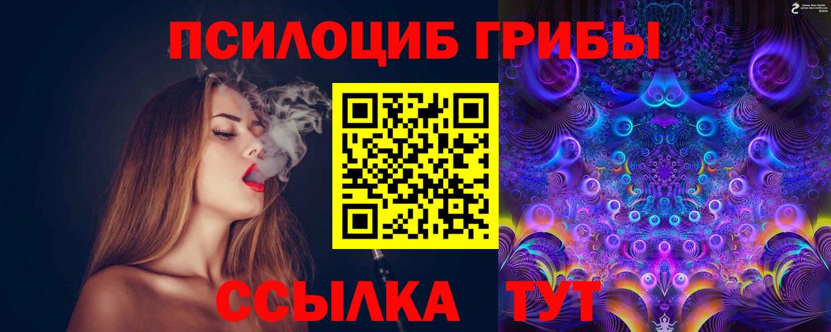 Псилоцибиновые грибы мицелий Дивногорск